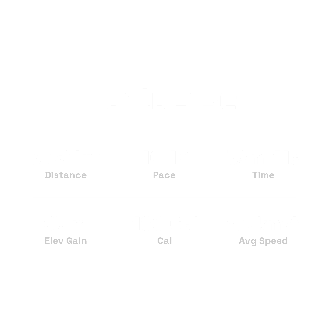 Runiverse activity card with distance, pace, duration, elevation, calories and speed.